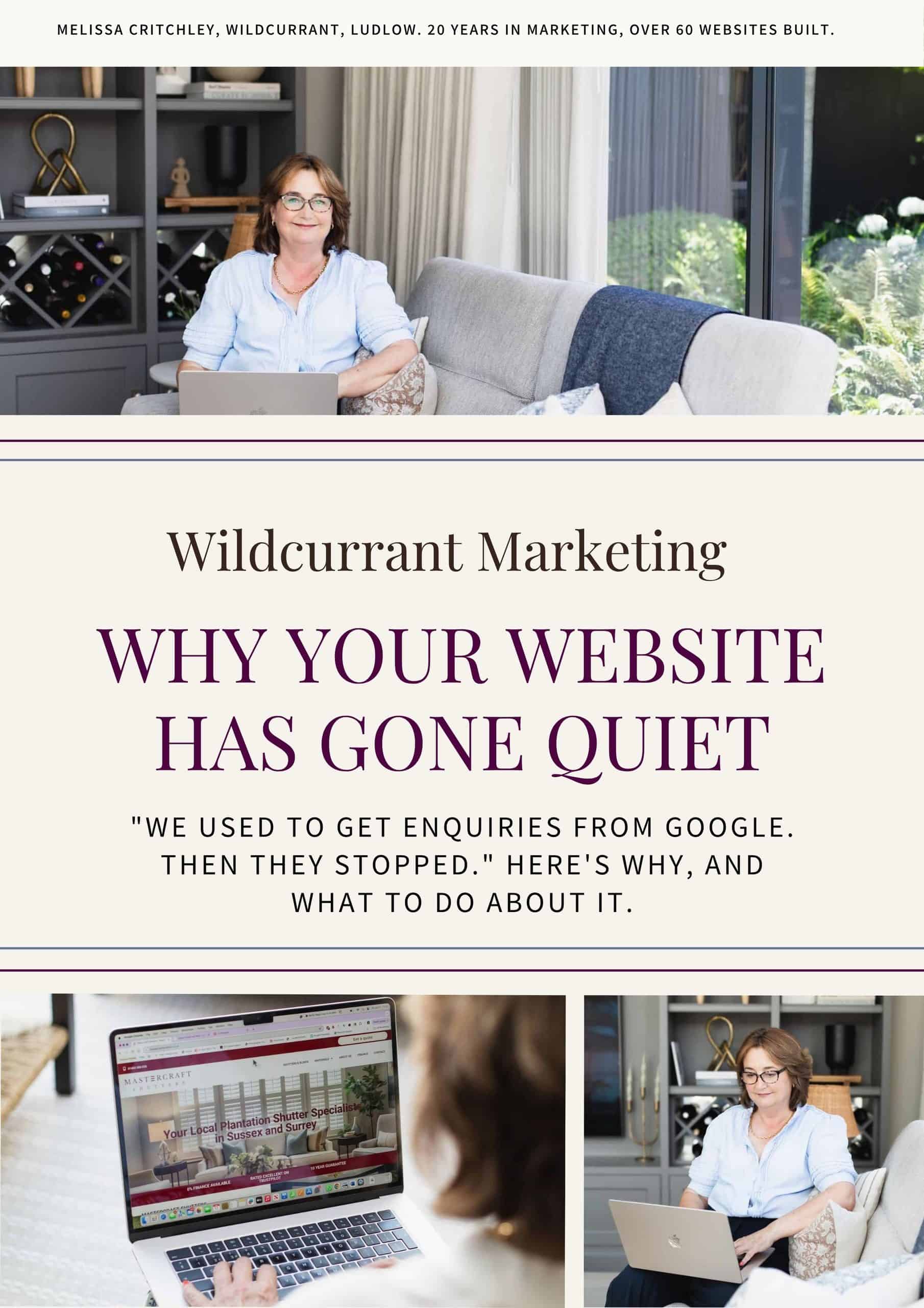 Woman working on laptop with website analytics and marketing tools.